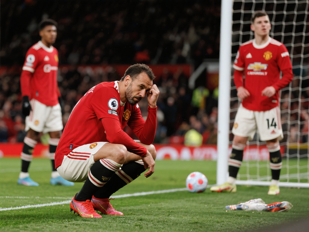 球迷和媒体 球迷和媒体